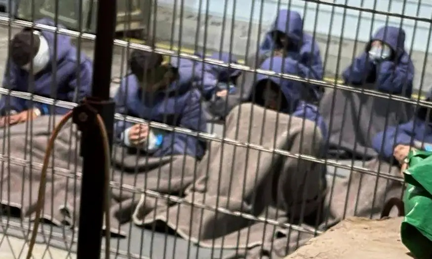 Penahanan Massal Warga Sipil Palestina Terus Bertambah di Pendudukan Gaza