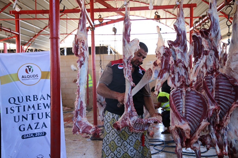 AVI Siapkan Penyaluran Qurban untuk Palestina di Tengah Krisis Kemanusiaan