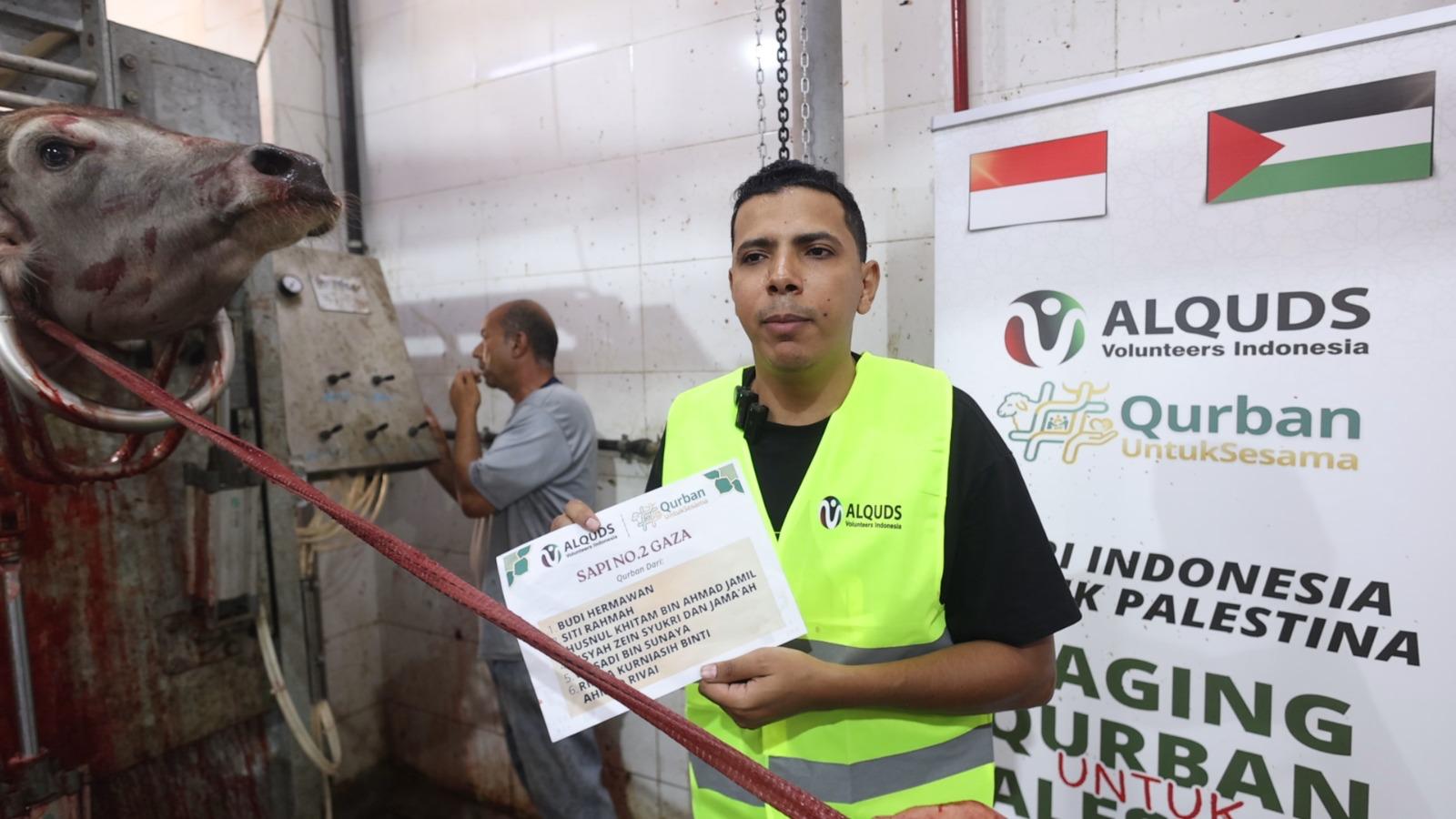 AVI Salurkan Hewan Qurban hingga ke Gaza pada Idul Adha 1447 