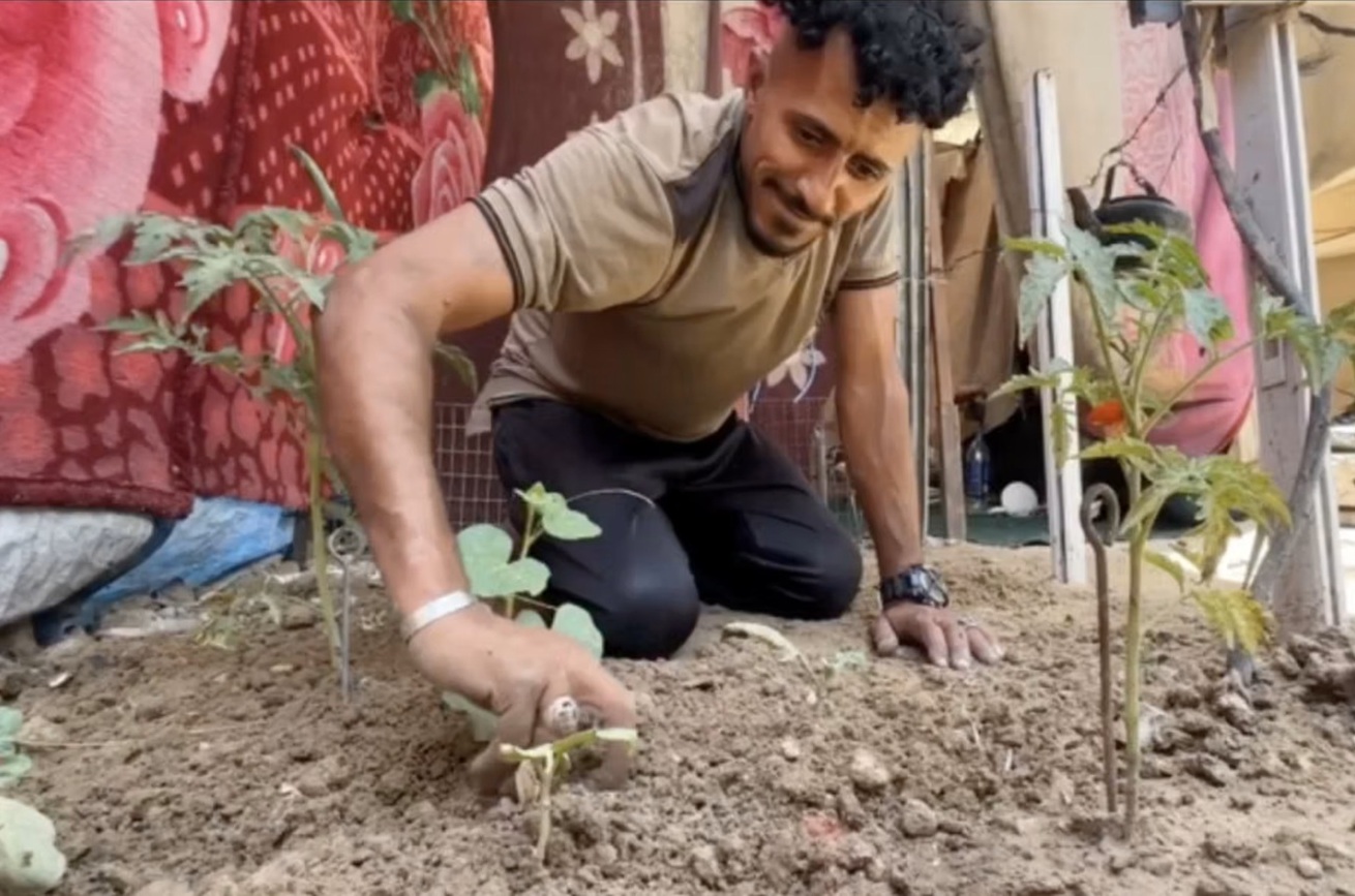 Di Tengah Krisis Pangan, Petani Gaza Bertahan Menjaga Tanah yang Tersisa