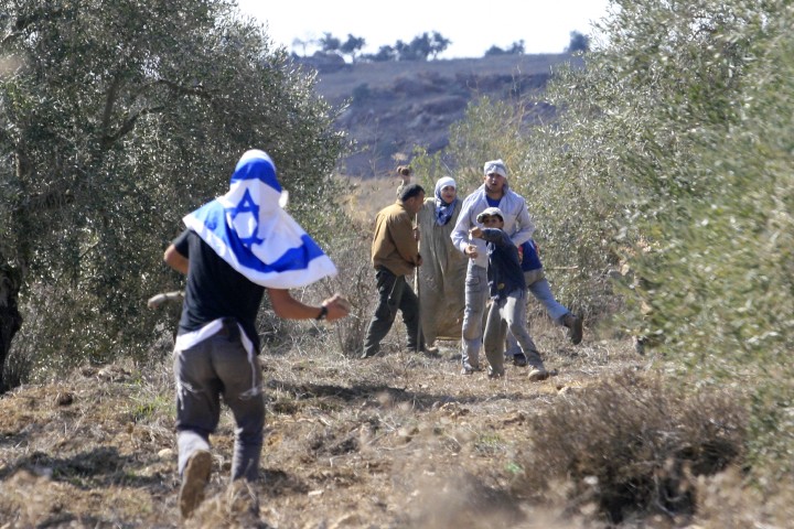 Penebangan Pohon Jeruk dan Lemon di Wadi Qana Perburuk Krisis Pangan Palestina